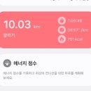 마라톤 꼴찌 한 썰 푼다ㅋㅋ (ft. 10km 뛰고 회송차 탄 후기) | 2025 경기마라톤 후기|