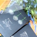 아기자기 수채캘리그라피 이미지