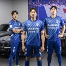 수원-1995 이미지