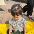 연세의원 | BABY DIARYㅣBABY 꼬야 D+694 🏥 24개월 영유아검진 후기 연세바른의원소아청소년과