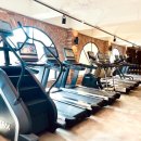 탐 휘트니스 이미지