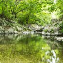 흥정계곡오토캠핑장 이미지