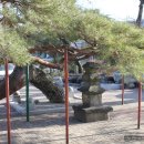 단월약국 이미지