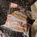 오로라 | 노르웨이 트롬쇠 오로라투어 후기(Flexitour,Enjoy the Arctic)