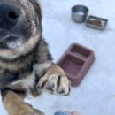 와이낫양양 이미지