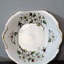 도그 블라썸 이미지