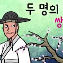 쌍매화, 두 명의 아내 (오대과부집의 유복자. 두 그루 매화나무 이야기. 고려말 조선초, 저생전 작가 쌍매당 이첨) 야사, 이미지