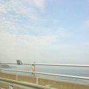 2023년 주민과 함께 하는 자원순환 체험교육 | 강화도 화개정원 가을 단풍구경 주차 입장료 모노레일 솥뚜껑 이벤트