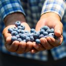 늘행복한농장 이미지