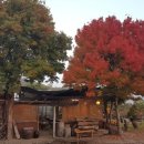 동황토산주식회사 이미지