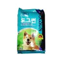 글로벌진돗개 이미지