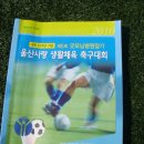 2010 굿모닝 병원장기 울산사랑축구대회(20100403~4 문수양궁장 이미지