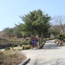 추모공원 관리사무실앞 이미지