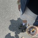 증산초등학교 | 여름 민둥산 제1코스 증산초등학교 빡셌던 등산후기
