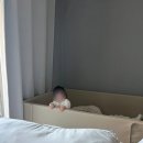 내돈내산 아기방 저상형 침대 추천 다하홈 a-line 슈퍼싱글 사용 후기