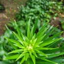 뿌리광장 이미지