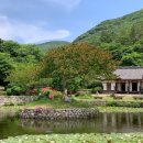 소산목장 | 소치 허련