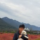 (주)펫톡 | 사랑하는 쫑이와 그리고 영원한 반려자인 아내와 함께 했던 황산공원 나들이