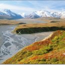 연보라(주) 이미지