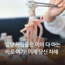 낙지에반하다 | 밀양 로컬 한정식 맛집 추천 낙지에반하다
