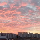 라이프반점 이미지