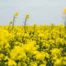 건강한 제철요리 이미지