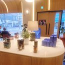 [개포1] (방학특강) 바게트 과일 자동차 샌드위치 | [대구 맛타임] 대구 동천동 &#34;사운즈커피&#34;칠곡3지구점 방문후기