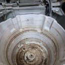 백곰세탁 이미지