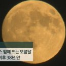 럭키 스포츠조선