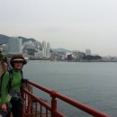 감정초교 이미지