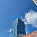 도시네트워크 행정사 이미지