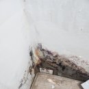 대영빌라 | 중구 신당동 빌라 도배장판 시공사례