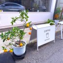 효자동 311-4 이미지