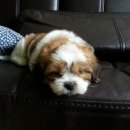 나와놀개 이미지