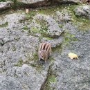 Casa Seorak(설악의 향기) | 강원도 명산 설악산 국립공원 봉정암 순례 1편/ 백담사입구-영시암-깔딱고개입구까지