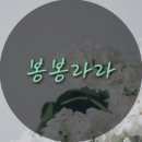 봉봉살롱 네이버블로그