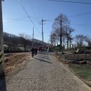 동상주IC충전소 | 팔공지맥 3구간 군위 화산 하늘전망대(산불초소 722) 2026. 01. 03.