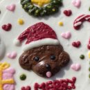 댕댕농부 이미지