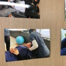 힐링트리