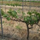 밀 모텔 이미지