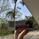 김포 장릉 | 김포 장릉 방문 후기｜김포 봄나들이 가볼 만한 곳 추천