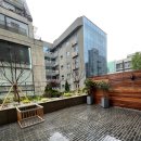 디저트39신사역점 | [강남애견동반카페/신사역] 신사역 디저트 맛집 애견동반까지 되는 디저트 39 신사역점