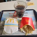 창녕 | 맥도날드 신메뉴 창녕갈릭 비프버거 후기