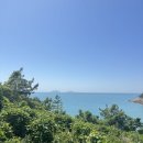 위도식당