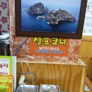 백화춘 이미지