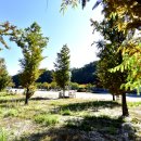 플로렌스 글램핑&캠핑 이미지