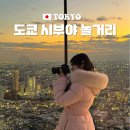 메가시티(복합-4) | 도쿄 가볼만한곳 시부야 놀거리 전망대 쇼핑 메가 돈키호테