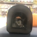 쿨펫동물병원(이마트군산점) 이미지