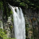 강정동-77 이미지