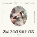 샤토미뇽 이미지